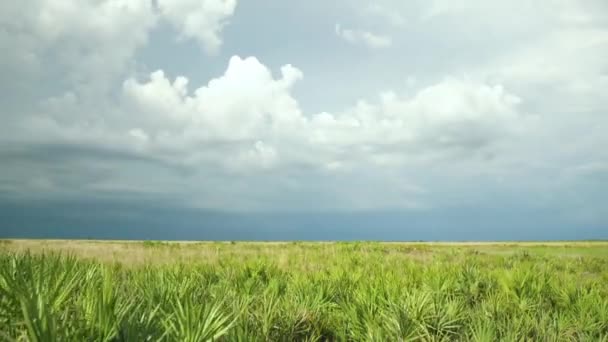 Dark Thunderstorm Rolls in Over Florida Prairie, 4K — Stock Video