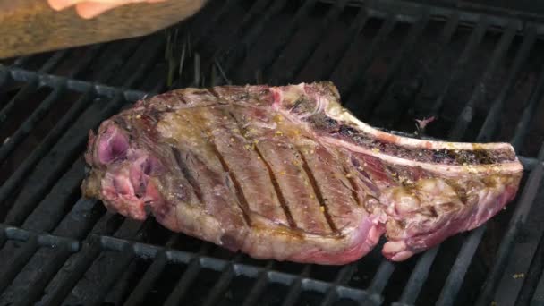 Gewürz Knochen-Rib-Eye Steak auf Grill, 4k — Stockvideo