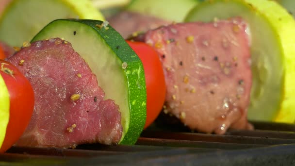 Kabob de carne em Grill, 4K — Vídeo de Stock