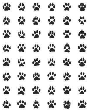 köpek pençeleri Yazdır