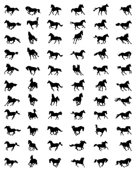 horses in galloping