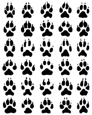 Köpek pençeleri beyaz arka plan üzerinde baskı siyah, vektör