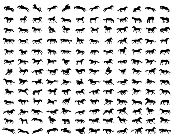 Big Set Horses Silhouettes White Background — Stock Vector