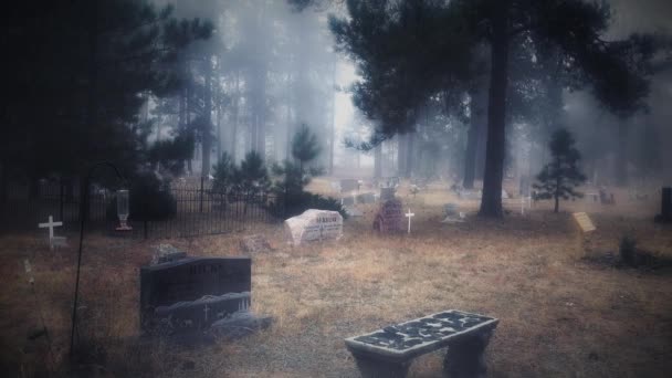 Cimitero Colorado nella nebbia 4K Loop — Video Stock