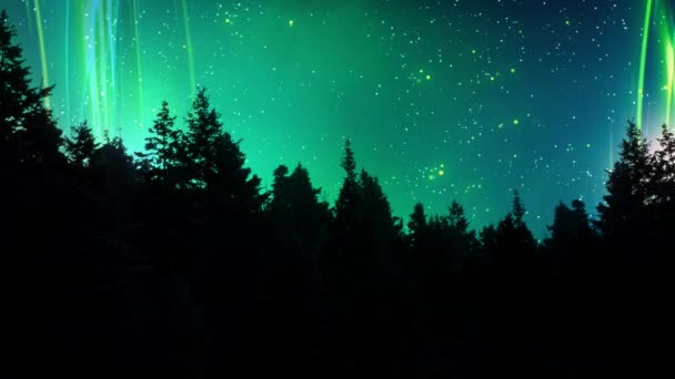 Aurora φώτα πάνω από το βρόχο πεύκων 4k — Αρχείο Βίντεο
