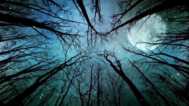 La luz de la luna y la nieve a través de los árboles 4K — Vídeos de Stock