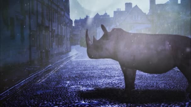 Rhino Twilight Streets 4K — Stock Video