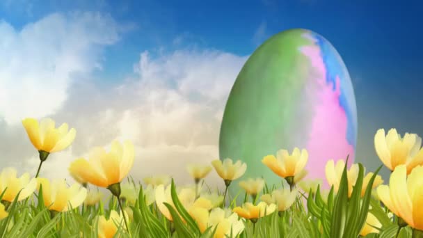 Akvarelu vejce v oboru smyčky lilie 4k — Stock video