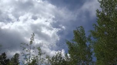 Rüzgar hışırtı Aspen yaprakları Manitou Springs Colorado