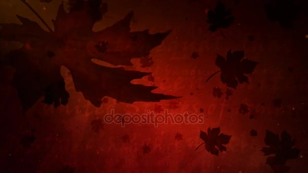 Happy Thanksgiving Red Leaf Falling 4K Loop — Stock Video