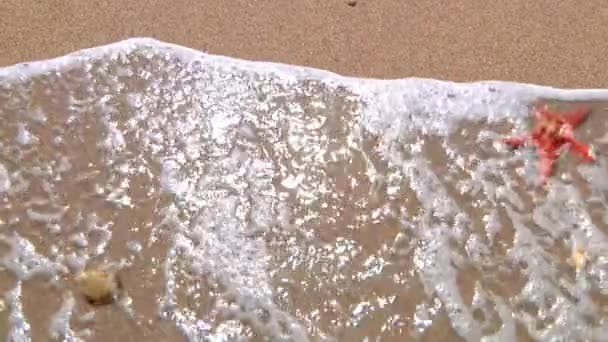 幸せな休日ビーチ 機能波砂に書いた幸せな休日メッセージの背後に残して 砂浜に洗濯で — ストック動画