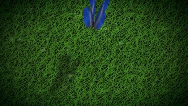 Feliz Dia Terra Flor Borboleta Apresenta Uma Borboleta Azul Que — Vídeo de Stock