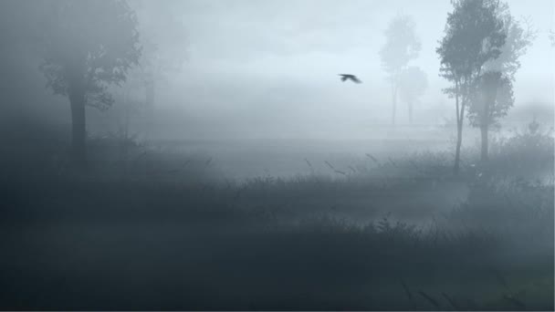 Moving Foggy Swamps Loop Має Камеру Яка Рухається Болотах Птахами — стокове відео