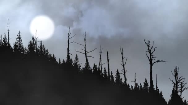 Forest Hill Silhouette Com Hazy Sun Nuvens Loop Apresenta Nuvens — Vídeo de Stock