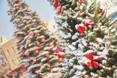 Rybnik Polonya büyük açık Noel ağacı