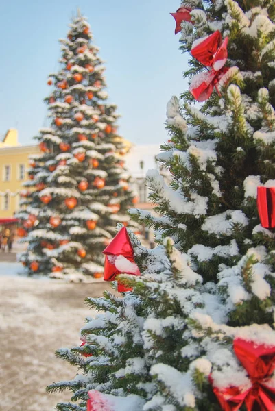 Large outdoor Christmas tree in Rybnik Poland