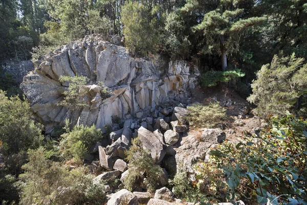 ラ ・ ロサ エル テイデ国立公園内の石します。テネリフェ島. — ストック写真