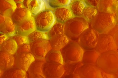 Soyut sarı kırmızı arka plan baloncuklar bir parıltı üzerinde kırmızı havyar