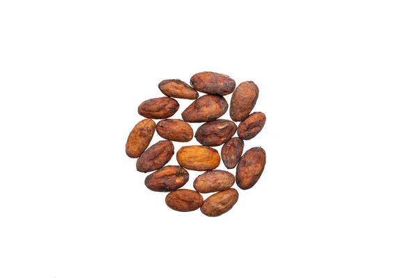 Fagioli Cacao Sfondo Bianco — Foto Stock