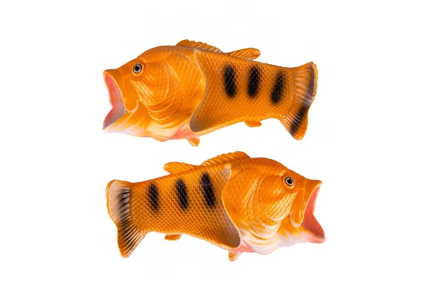 Rybacy Gumy Pomarańczowej — Zdjęcie stockowe
