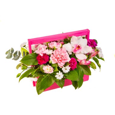 Yeşil yapraklar ve yeşilliklerle ahşap pembe stantlarda orkideler.