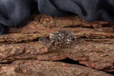 Moskova, Rusya - 08 / 21 / 2019: Kordondan örülmüş bileziğin üzerindeki paraşüt paraşütünden gelen erkekler ve kadınlar için madalya, bilezik