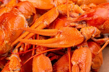  Haşlanmış kerevit, limon ve yeşillikle servis edilen bira.