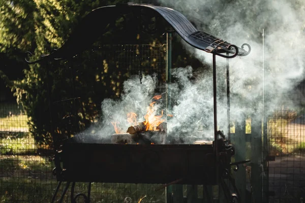 Barbeküde yakacak odun Telifsiz Stok Fotoğraflar