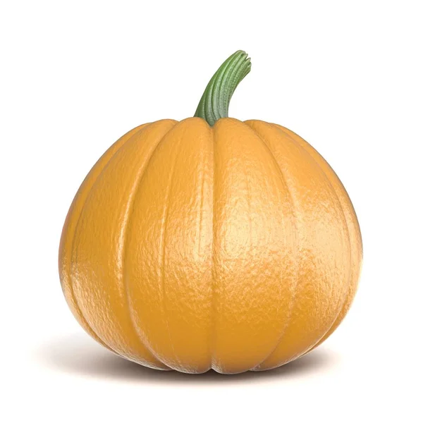 Pumpkin 3d render illustration — Stockfoto
