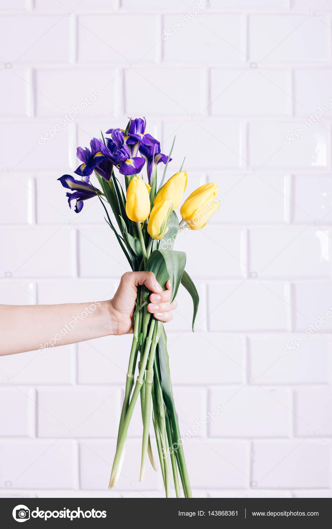 黄色と紫の花の花束を持っている女性の手 ストック写真 C Photostockman 黄色と紫の花の花束を持っている女性の手 ストック写真 C Photostockman