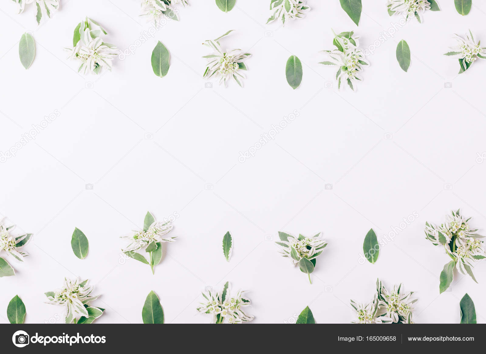 Grune Bluten Und Blatter Liegen In Einer Reihe Stockfotografie Lizenzfreie Fotos C Photostockman 165009658 Depositphotos