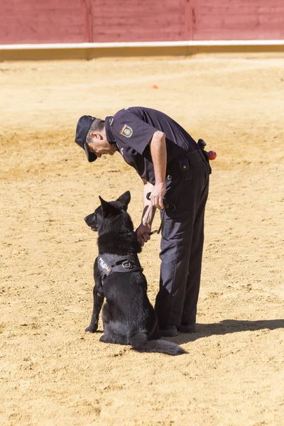 Поліція собака підготовку в виставка його робіт — стокове фото