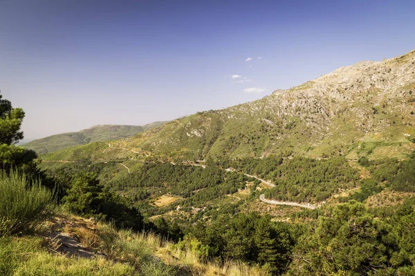 Panorámica de algunas hermosas montañas verdes con caminos y piedras — Foto de Stock