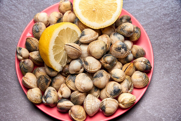 view of fresh cockles on a plate