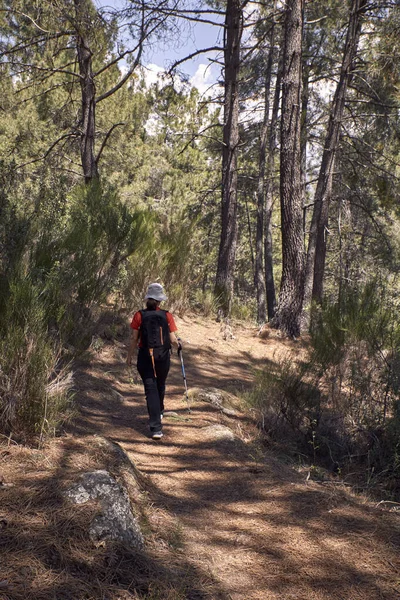 Frau beim Trekking in der Natur — Stockfoto