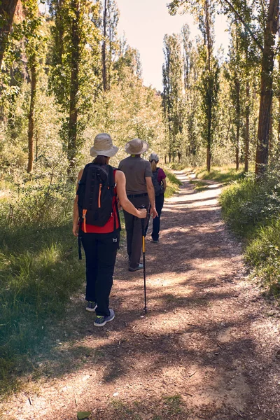 Vue Arrière Randonnées Pédestres Entre Hommes Femmes — Photo