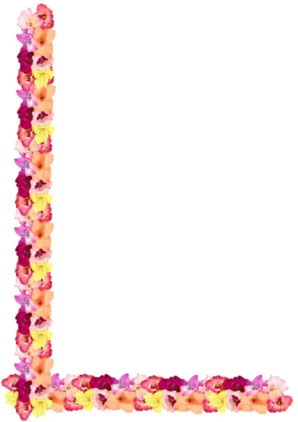 Pohlednice z dovolené z květů mečík — Stock fotografie