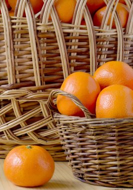 Tek Mandarin sepet arka plan