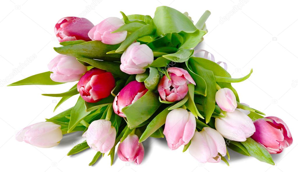 pink tulips bouquet lying