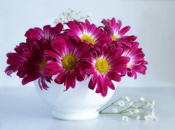 Хризантемы вазы натюрморт — стоковое фото