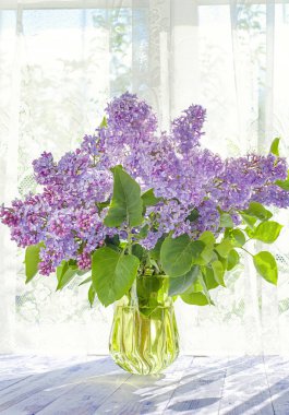 Bir demet leylak güneş ışığı arka planı