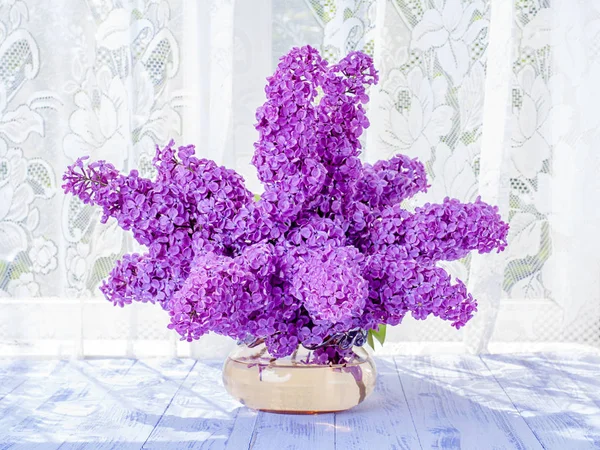 Ramo de lilas contra la luz solar —  Fotos de Stock