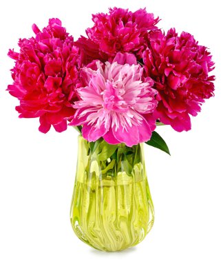 şakayık vazosu beyaz arkaplan