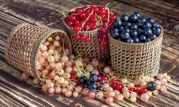 Three baskets of currants scattered — Stock Photo, Image