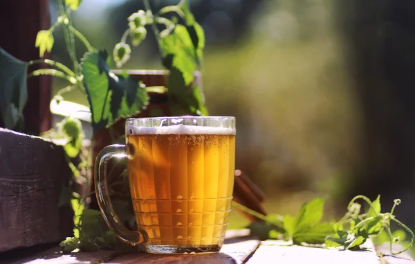 Vaso Cerveza Naturaleza Madera Lúpulo — Foto de Stock