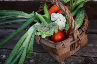 sebze sepeti harvest yılında