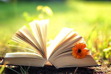 Çimenlerin üzerinde çiçek ile açık kitap
