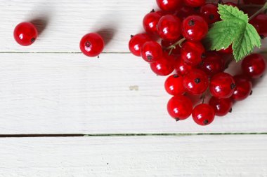 Frenk üzümü berry arka plan