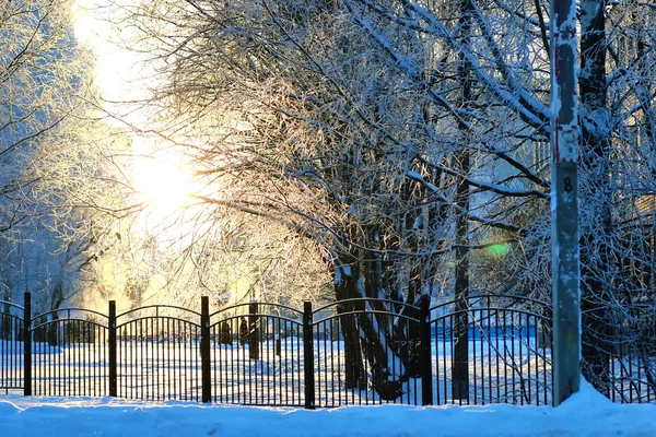 Płot pokryte śniegiem zima park — Zdjęcie stockowe