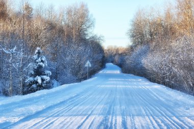 Kış yol karlı alanları ve orman